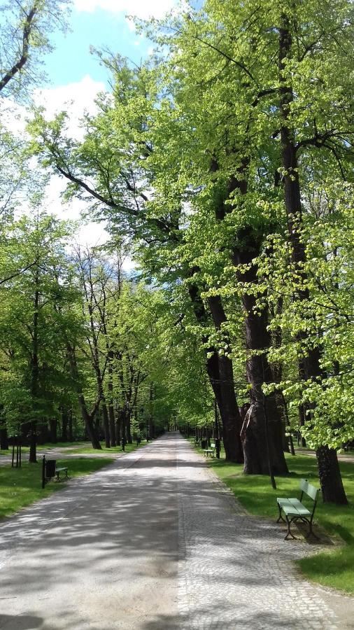 Zdrojowy * Jelenia Gora
